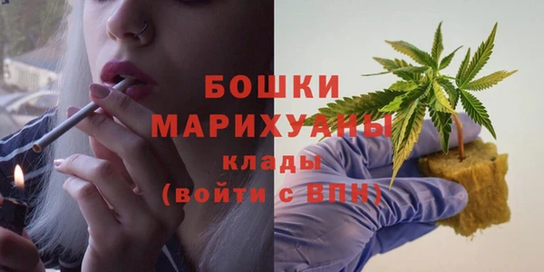 хмурый Карпинск