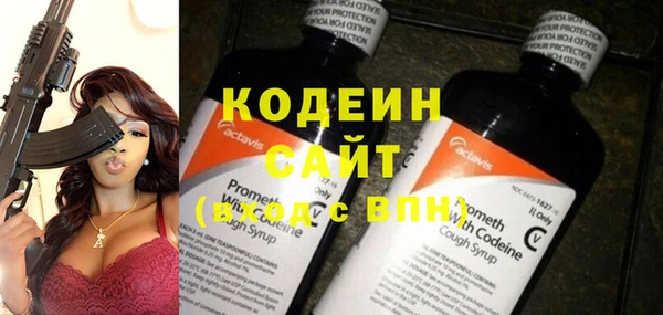 хмурый Карпинск